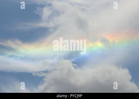 Ein himmlisches Meisterwerk, in dem ein lebhafter Regenbogen inmitten eines Meeres aus Baumwollwolken tanzt. Stockfoto