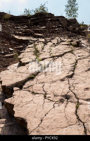 Abdrücke von Fußspuren von tetrapod Ichthyostega innerhalb von zachelmie Steinbruch in Holly cross Berge in Polen Stockfoto