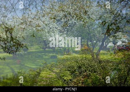 Abstrakt floral background. Muster der grüne Zweige und Sonnenlicht in der Natur Stockfoto