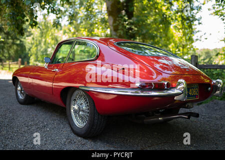 Portland, OR/USA - 16. Juni 2018: Jaguar Old Red vintage Sport Auto im Wald geparkt, Ansicht von hinten Stockfoto