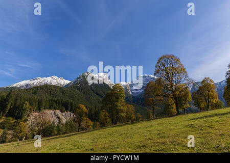 Engtal oder engen Tal, Maple Valley, großer Ahornboden, tolle Ahorn Boden, Eng, Hinterriss, Karwendel, Alpen, Tirol, Österreich, Europa Stockfoto