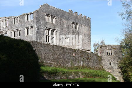 Berry Pomeroy Castle, Devon: Niedriger Winkel, Außenaufnahme des Schlosses Stockfoto