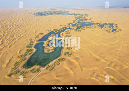 Seen und Bäume in eine wunderschöne Oase in der Wüste. Dubai, VAE. Stockfoto