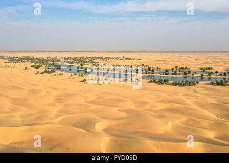 Seen und Bäume in eine wunderschöne Oase in der Wüste. Dubai, VAE. Stockfoto