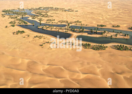 Seen und Bäume in eine wunderschöne Oase in der Wüste. Dubai, VAE. Stockfoto