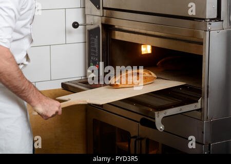 Frisch gebackenes Brot aus dem Ofen Stockfoto
