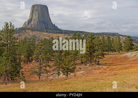 Der Devils Tower über den Wald Stockfoto