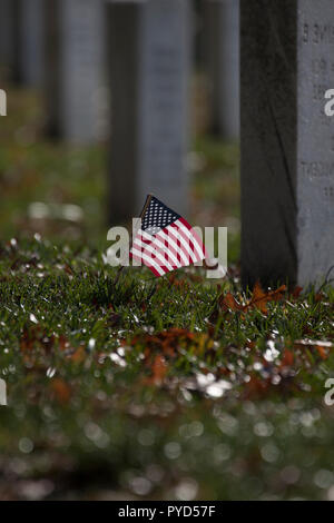 Stars & Stripes US Flag neben einem Grab auf dem Arlington National Cemetery, Washington DC, USA Stockfoto
