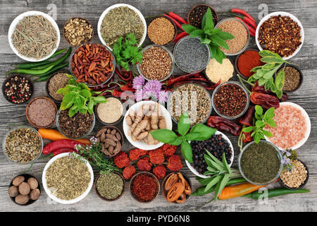 Große Heilkräuter und Gewürze essen Auswahl getrocknete und frische auf rustikalem Holz Hintergrund. Stockfoto