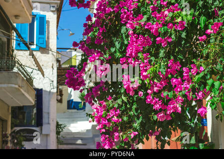 Straßen von neorio Stadt in Poros Island, Griechenland; Bäume mit rosa Blumen in engen Straßen, die hauseingänge Stockfoto