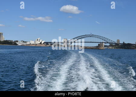 Spaziergang entlang der Küste, Sydney Stockfoto