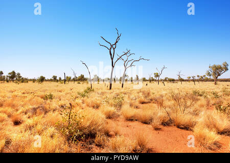 Outback Szene, Uluru-Kata Tjuta National Park, Northern Territory, Australien Stockfoto