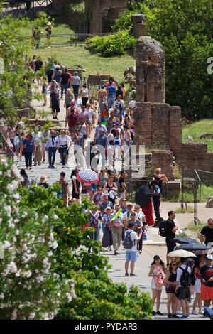 Wandern auf der Via Sacra (heilige Straße), die Hauptstraße des antiken Rom - Römische Forum Stockfoto