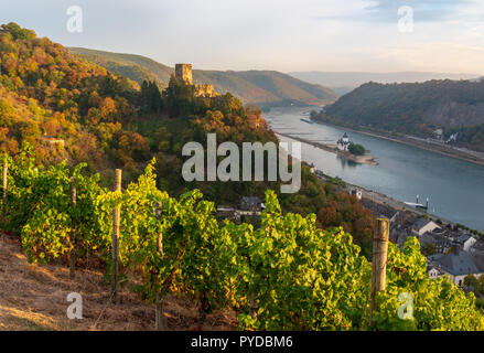 Kaub und Burg Gutenfels, Weinberge Stockfoto