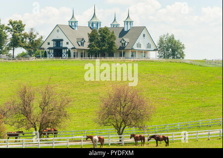 Manchester Scheune in Lexington Kentucky Stockfoto