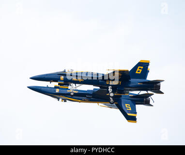 US Navy Blue Angels führen und gegnerischen solos Durchführen einer Fortus Manöver Stockfoto