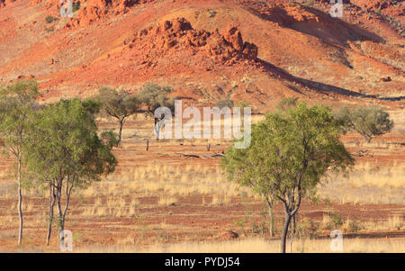 Mesa in der Lilleyvale Hügeln zwischen Winton und Boulia in westlichen Queensland. Die Region war einst unter der Eromanga See, da ausgetrocknet ist ein Stockfoto