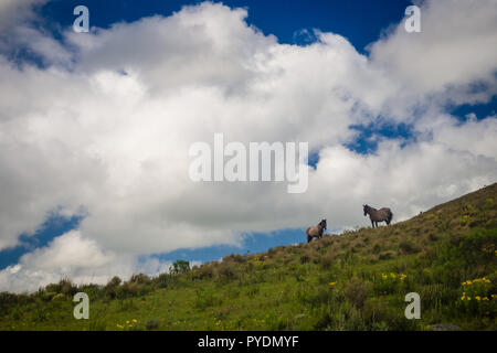 Luftaufnahme Landschaft Szene in ländlicher Umgebung in der Provinz Rocha Uruguay sierra Rocha Stockfoto