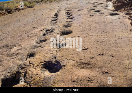 Dinosaur Footprint in Toro Toro, Bolivien. Pflanzenfresser Dinosaurier Stockfoto