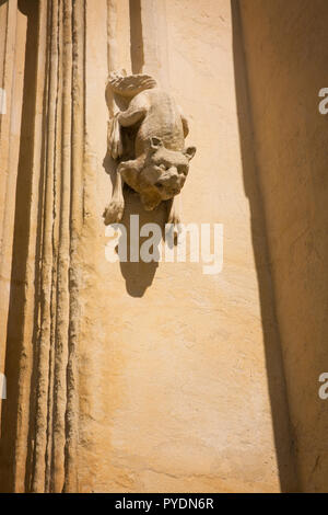 Wasserspeier von einer Katze auf der rechten Seite des Haupteingangs, Veranda, Kirche des Hl. Johannes des Täufers, Marktplatz, Cirencester, Gloucestershire, England Stockfoto