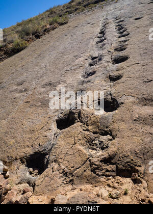 Dinosaur Footprint in Toro Toro, Bolivien. Pflanzenfresser Dinosaurier Stockfoto