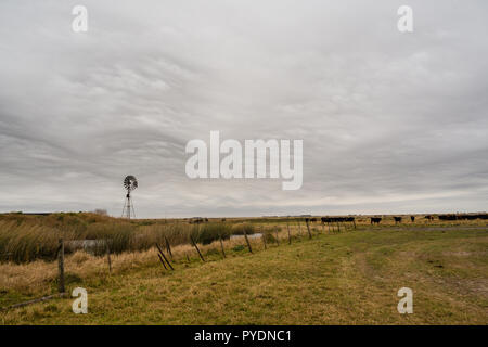 Landschaft mit Windmühle, Pampa, Cordoba, Argentinien Stockfoto