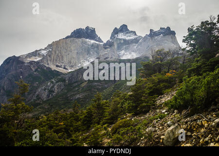 Los Cuernos Del Paine im Torres del Paine Nationalpark, Chile. Die Berge und den Wald in Patagonien in Chile. Die Anden Stockfoto