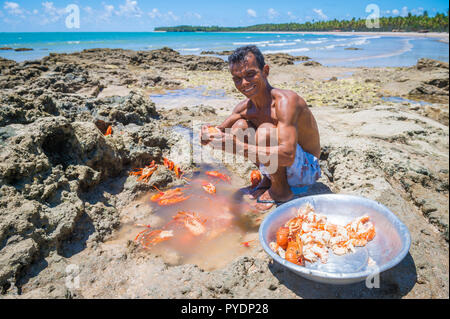 CAIRU, BRASILIEN - ca. Februar 2018: Lokale Beach Shack Eigentümer bereiten frisch Hummer zum Mittagessen Tagesausflug Touristen serviert werden gefangen. Stockfoto