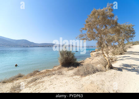Marcello Strand - Kykladen Insel - Ägäis - Parikia (Parikia) Paros - Griechenland