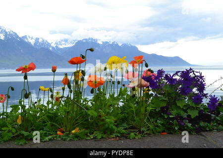 Von Montreux Promenade ist ein schöner Spaziergang, die an den Genfer See Blick, Freddie Mercury Statue, Blumen und Skulpturen. April 2018 Stockfoto