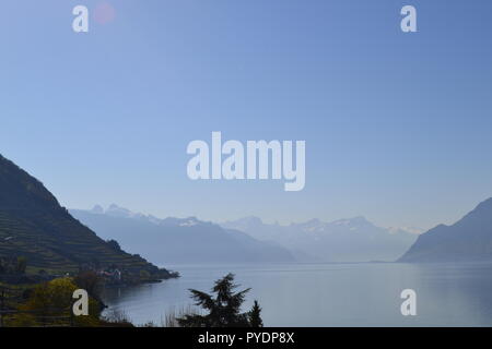 Blick aus der Nähe Epesses Dorf, Waadt, Blick nach Osten auf den Genfer See, Montreux und die Walliser Alpen. Stockfoto