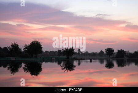 Sunraise im Al Qudra See finden, in der Nähe von Dubai Stockfoto