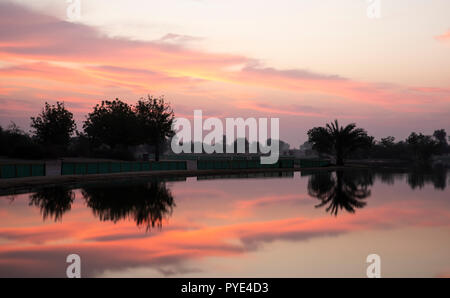 Sunraise im Al Qudra See finden, in der Nähe von Dubai Stockfoto