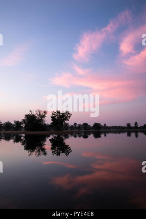 Sunraise im Al Qudra See finden, in der Nähe von Dubai Stockfoto