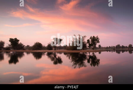 Sunraise im Al Qudra See finden, in der Nähe von Dubai Stockfoto