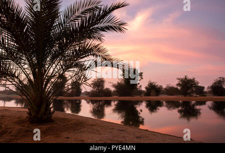 Sunraise im Al Qudra See finden, in der Nähe von Dubai Stockfoto