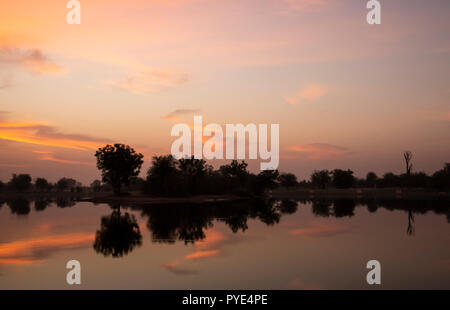 Sunraise im Al Qudra See finden, in der Nähe von Dubai Stockfoto