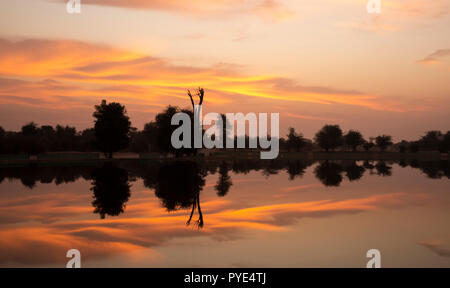 Sunraise im Al Qudra See finden, in der Nähe von Dubai Stockfoto