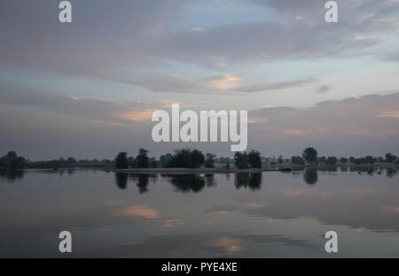 Sunraise im Al Qudra See finden, in der Nähe von Dubai Stockfoto
