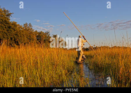 Makoro im Okavango Delta Verschieben in einen Kanal zwischen Reed Banken Stockfoto