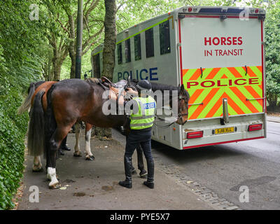 Ein Polizist, der sein Pferd bereit für eine Patrouille auf dem Gelände des Kelvingrove Park in Glasgow, Schottland, Großbritannien. Juli 2018. Stockfoto