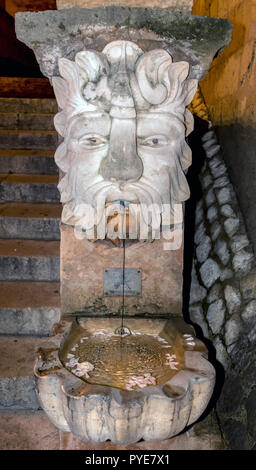 Wasserspeier Brunnen außerhalb der Kathedrale in Palma de Mallorca, Spanien Stockfoto