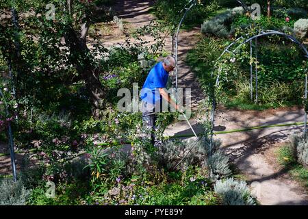 Gärtner in den Schlossgärten, Tavira, Algarve, Portugal, Europa. Stockfoto