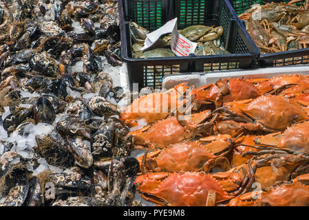 Krebstiere und Austern zum Verkauf auf einem Markt in Madrid, Spanien Stockfoto