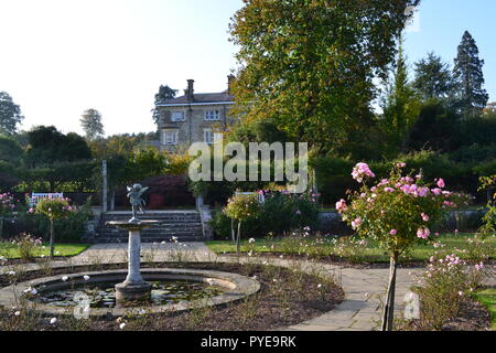 Rosen und einem dekorativen Springbrunnen und Teich an NT-run Emmetts Garden, Kent. Herbst 2017 Stockfoto