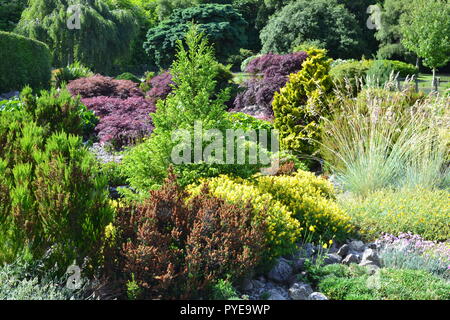 Heidekraut und Alpines in einem Steingarten in der National Trust Emmetts Garden, Ide HIll, nr Sevenoaks, Kent, England. Juni Stockfoto