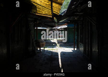 Bazar Rózyckiego im Stadtteil Praga in Warschau, Polen 2018. Stockfoto