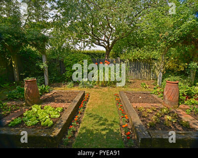 Gemüsegarten IN EINEM PRIVATEN GARTEN. AUGUST 2018. OAKHAM, Rutland, England. Kleine geschlossene Gemüsegärten mit erhöhten Betten eingepflanzt Stockfoto
