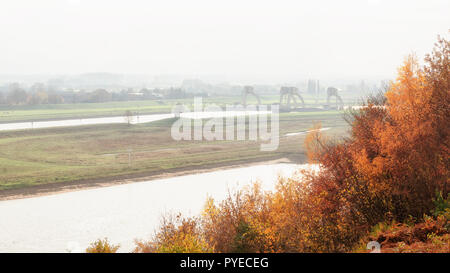 Die schöne Flusslandschaft des Fluß nederrijn an der Driel Damm in der Provinz Gelderland in den Niederlanden Stockfoto