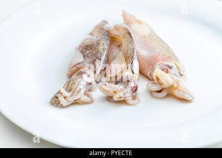 Sehr frischen kleinen Tintenfischen frisch im Meer (chipirones) gefangen Stockfoto